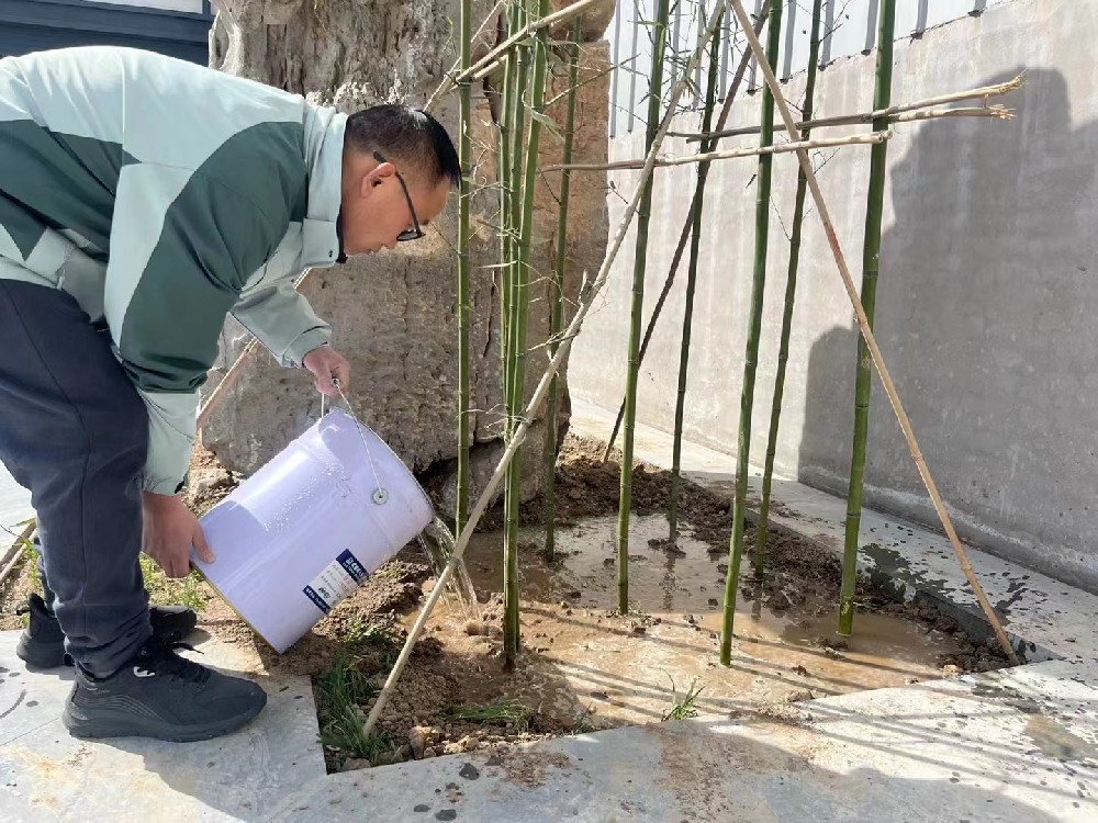 植樹(shù)節(jié)